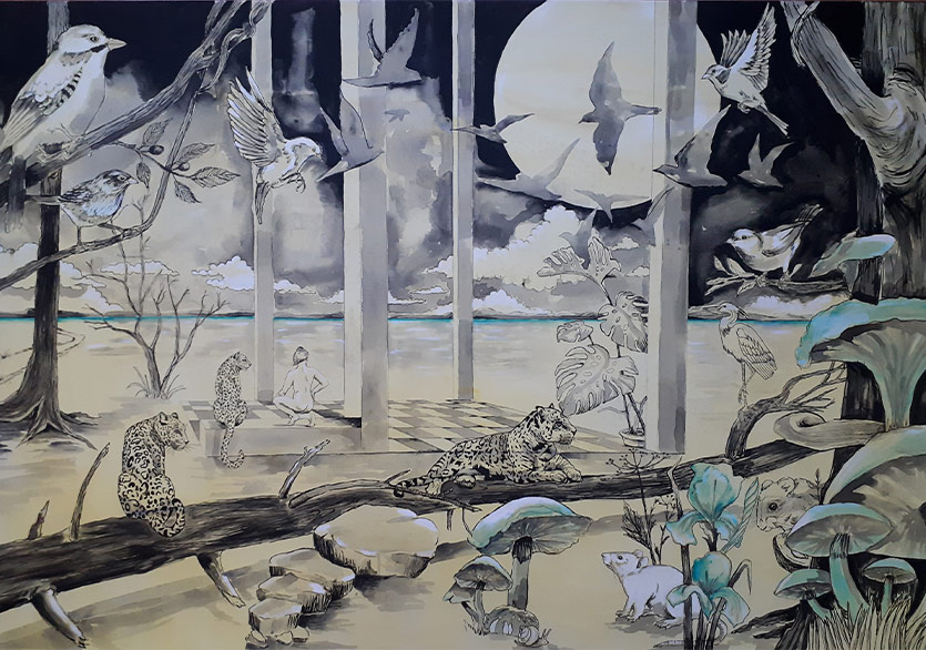 Sınırın Karşı Tarafı İyi mi, Kötü mü?