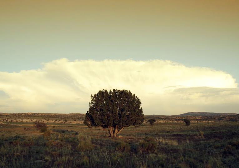 Sınırın Karşı Tarafı İyi mi, Kötü mü?