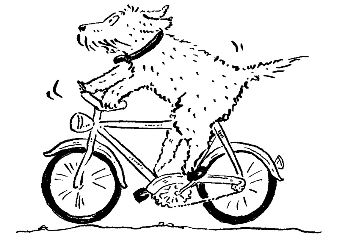 Sınırın Karşı Tarafı İyi mi, Kötü mü?