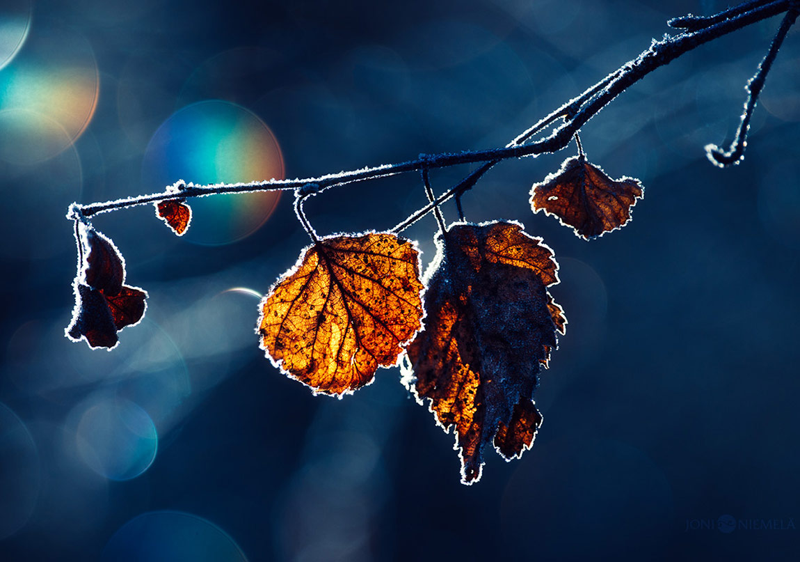 Sınırın Karşı Tarafı İyi mi, Kötü mü?