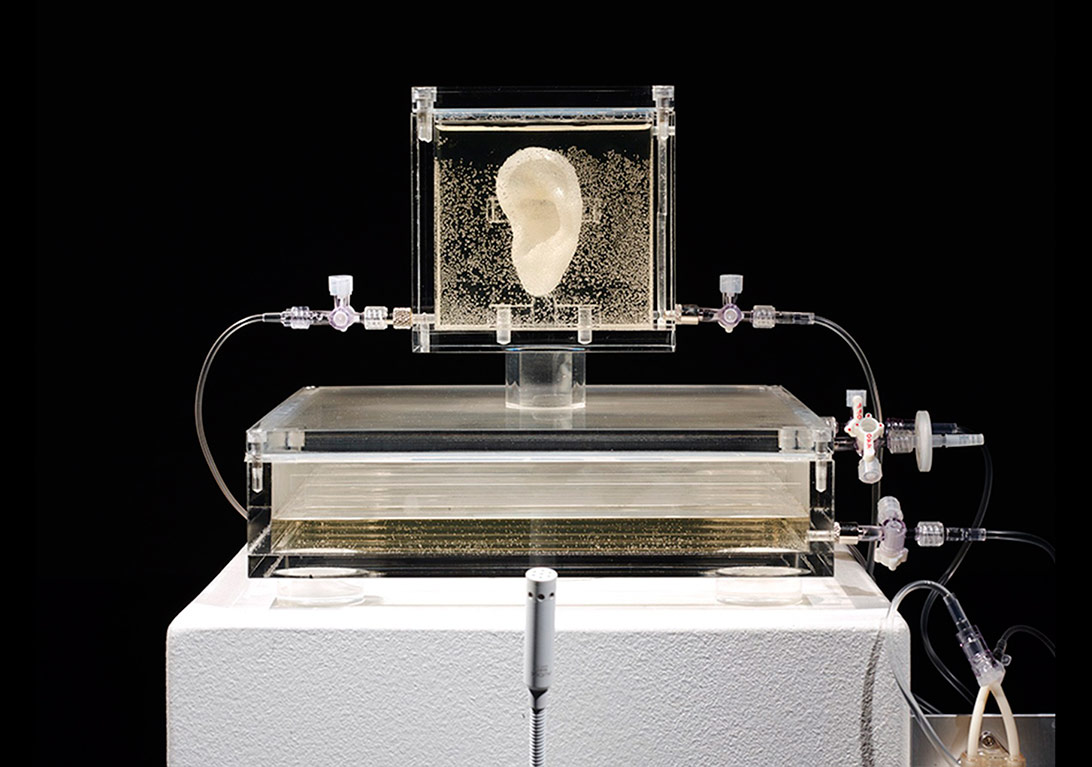 Sınırın Karşı Tarafı İyi mi, Kötü mü?