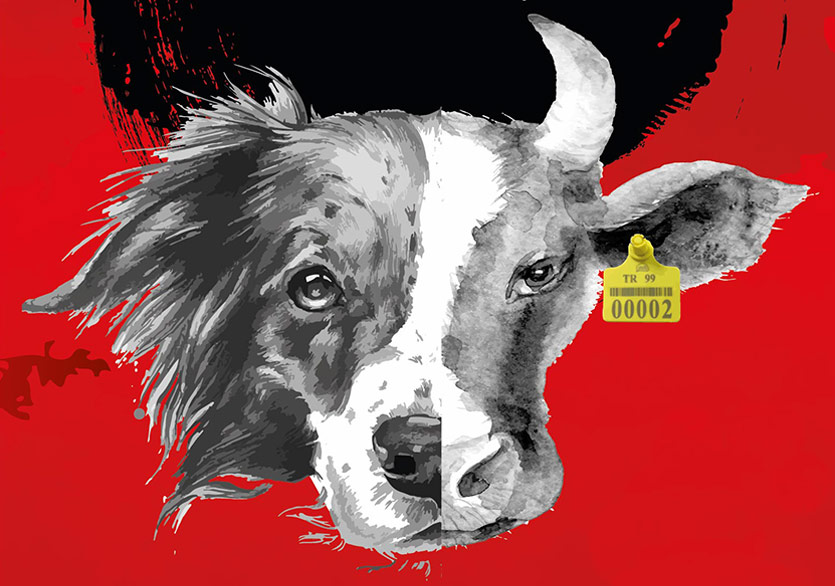 Sınırın Karşı Tarafı İyi mi, Kötü mü?