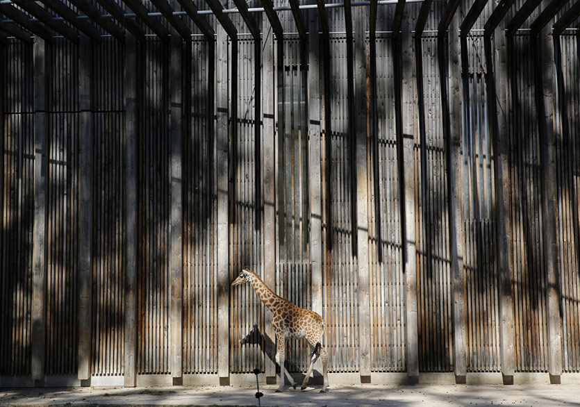 Sınırın Karşı Tarafı İyi mi, Kötü mü?