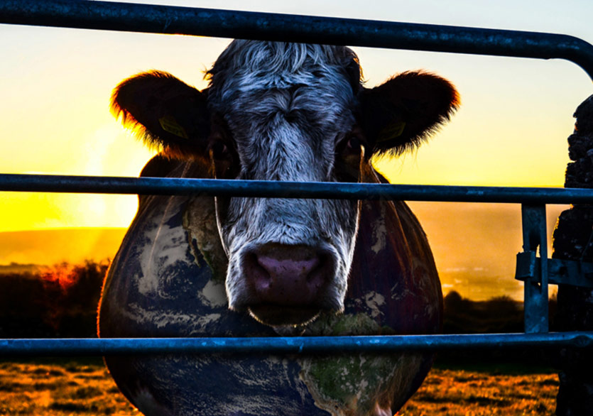 Sınırın Karşı Tarafı İyi mi, Kötü mü?