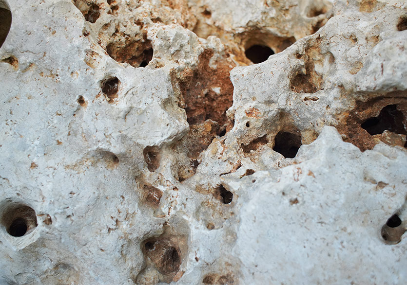 Sınırın Karşı Tarafı İyi mi, Kötü mü?