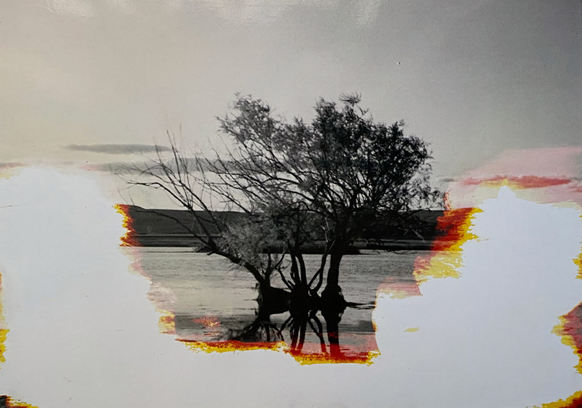 Sınırın Karşı Tarafı İyi mi, Kötü mü?