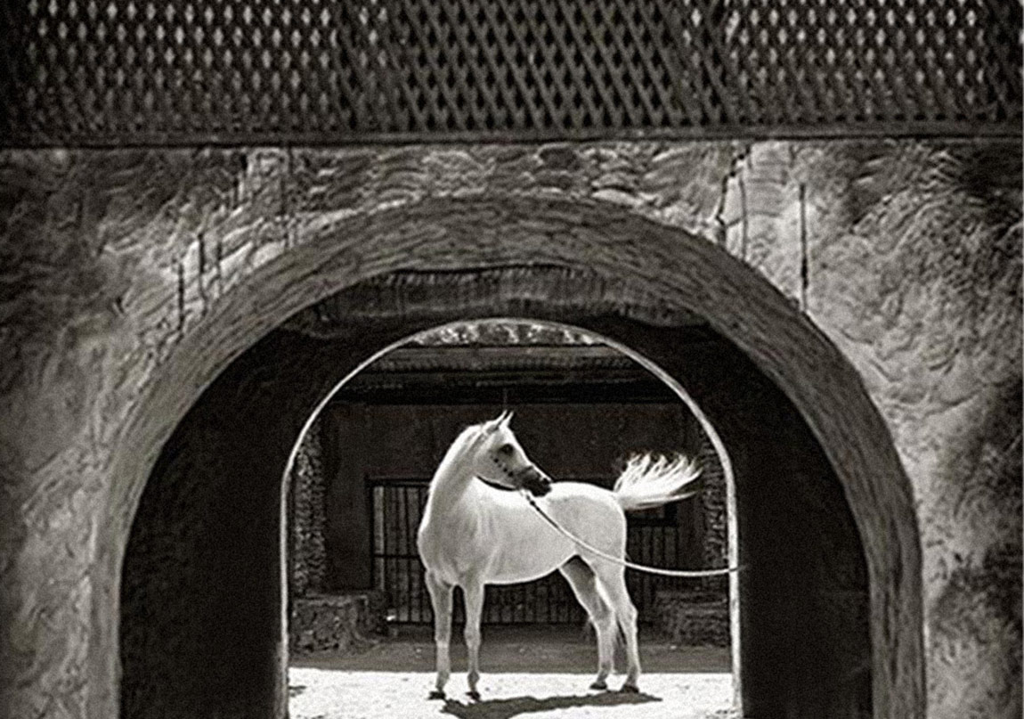 Sınırın Karşı Tarafı İyi mi, Kötü mü?