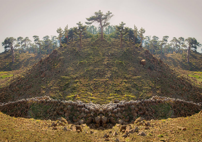 Sınırın Karşı Tarafı İyi mi, Kötü mü?