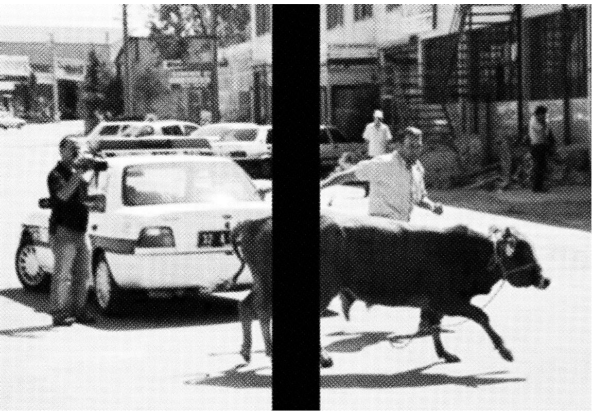 Sınırın Karşı Tarafı İyi mi, Kötü mü?