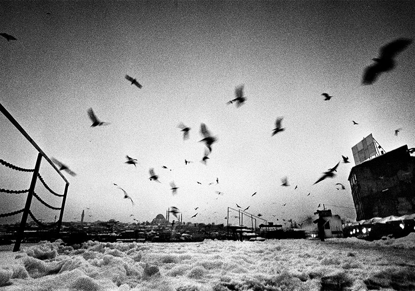 Fotoğraf Sanatçısı Pari Dukovic’in Eserleri İstanbul’da