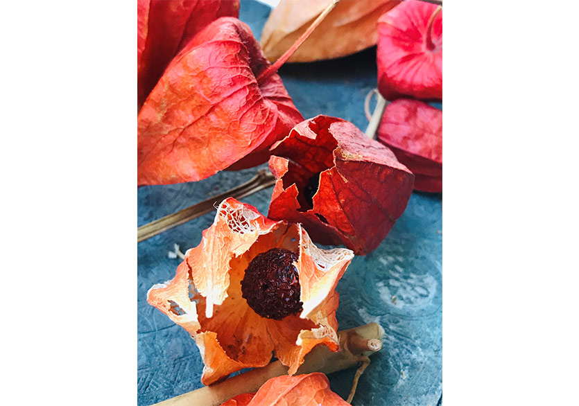 Sınırın Karşı Tarafı İyi mi, Kötü mü?