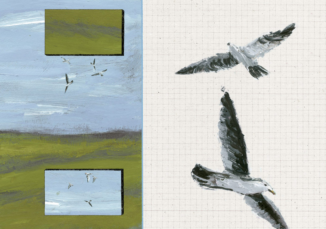 Sınırın Karşı Tarafı İyi mi, Kötü mü?