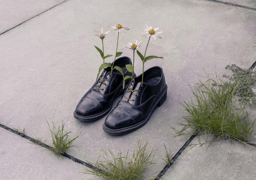 Sınırın Karşı Tarafı İyi mi, Kötü mü?