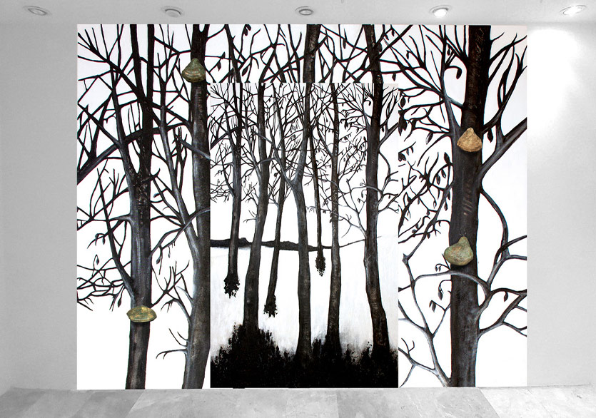 Sınırın Karşı Tarafı İyi mi, Kötü mü?