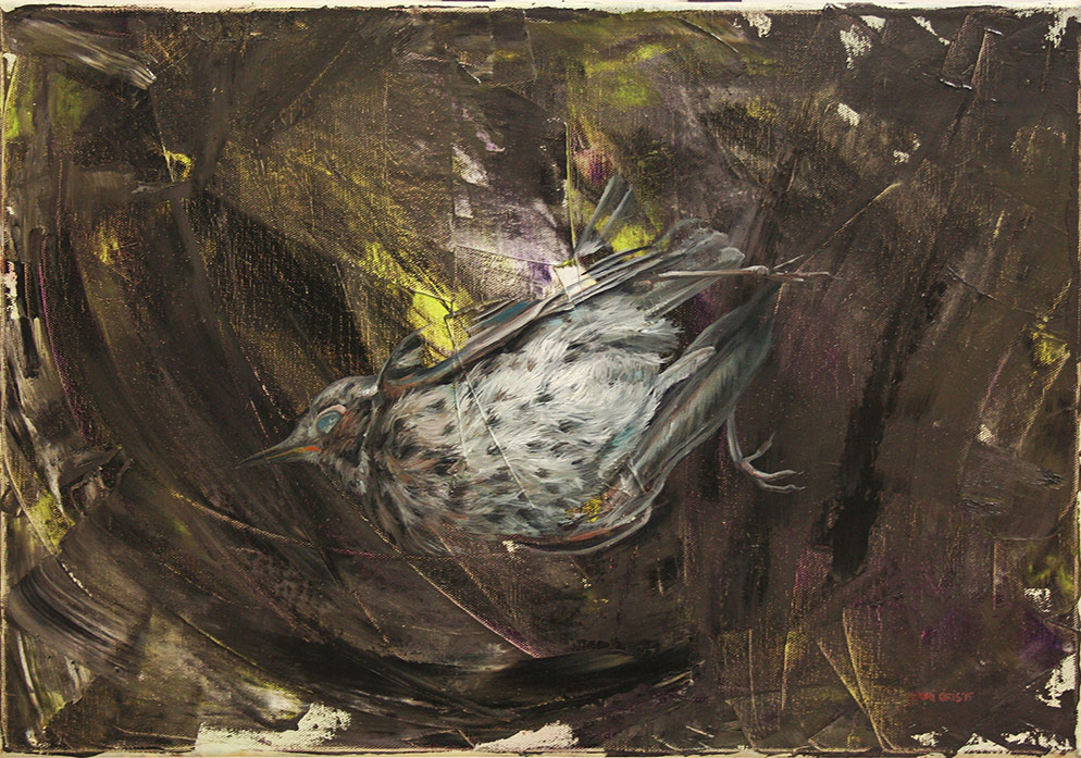 Sınırın Karşı Tarafı İyi mi, Kötü mü?