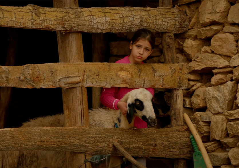 Adana Altın Koza’da Yarışacak Filmler Belli Oldu