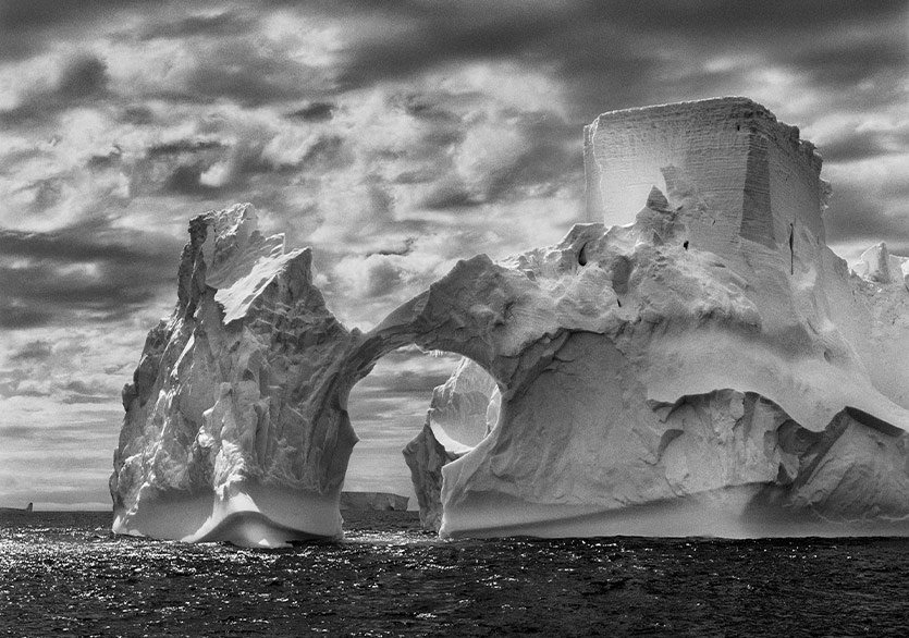 212 Photography Istanbul’dan Sebastião Salgado Sergisi