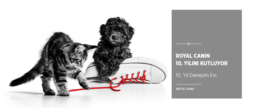Royal Canin 10. Yılını Cihangir’deki Deneyim Evi ile Kutluyor