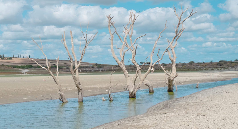 Eldem Sanat Alanı “Su-suz Yaz” Projesi ile Kapılarını Açıyor