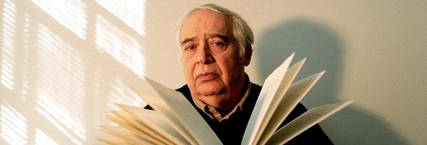 Edebiyat Tarlasının Arazi Haritası: Harold Bloom