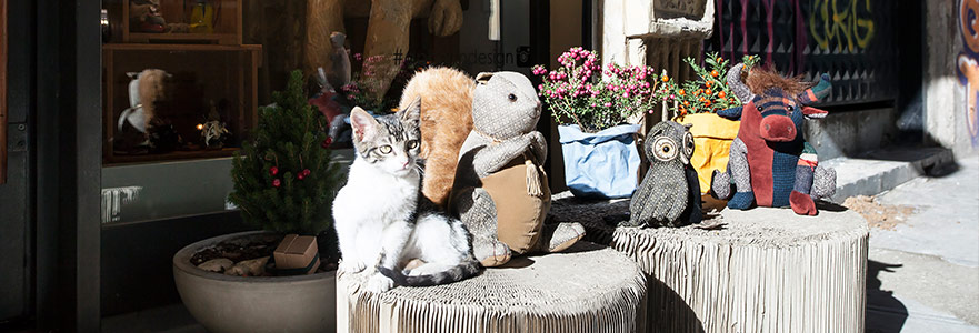 title_image
